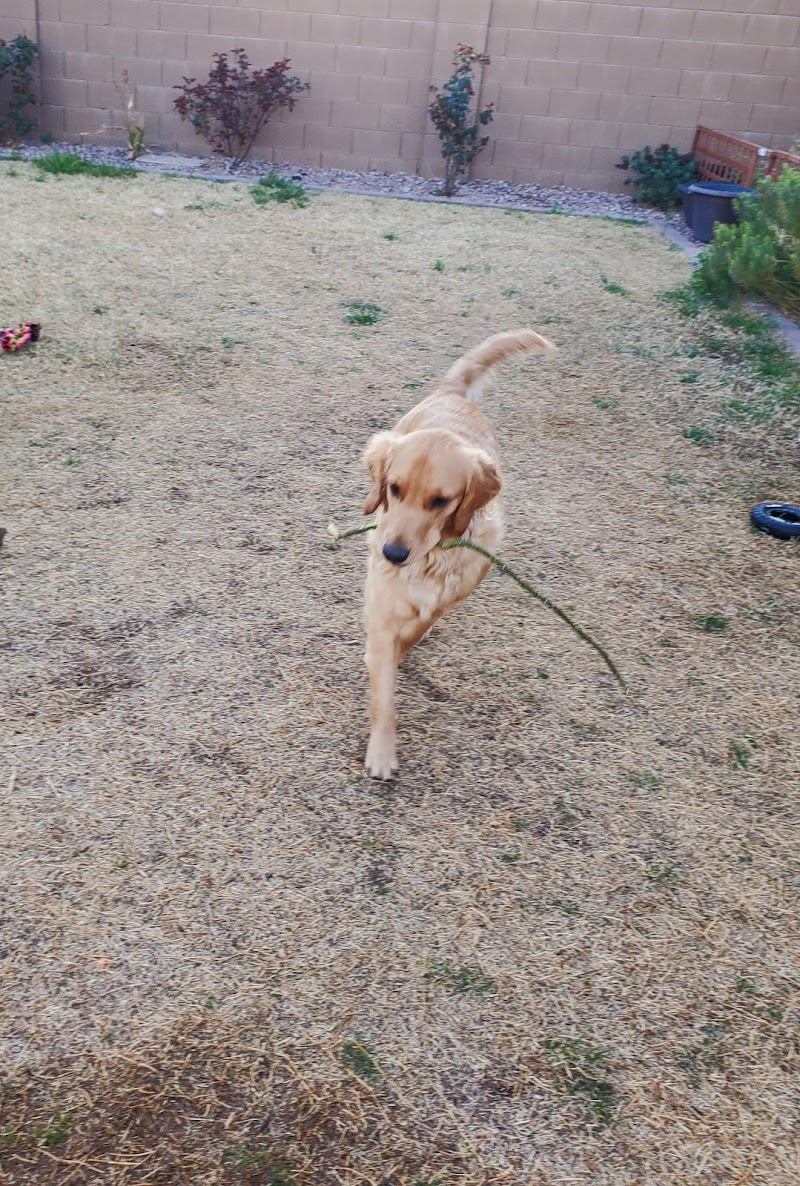 Woof and Whiskers Pet Sitting, LLC photo 3