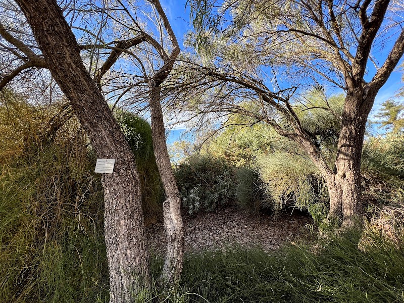 Photo of Native American Contemplation Garden