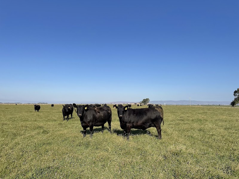 R. Emigh Livestock, Inc. photo 2