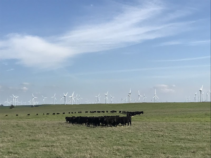 Photo of R. Emigh Livestock, Inc.