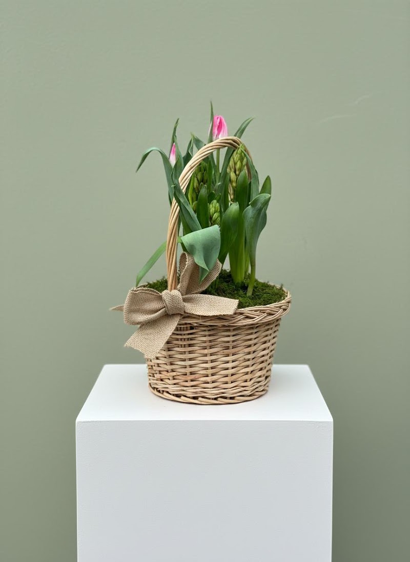 El Dorado Blooms~ Family Owned Floral Delivery photo 3