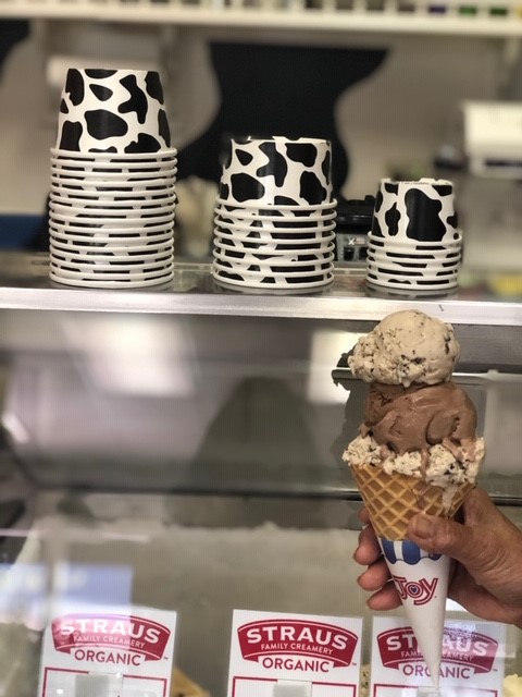 The Chocolate Cow photo 2