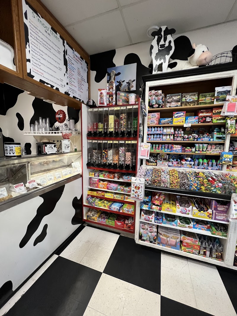 The Chocolate Cow photo 3