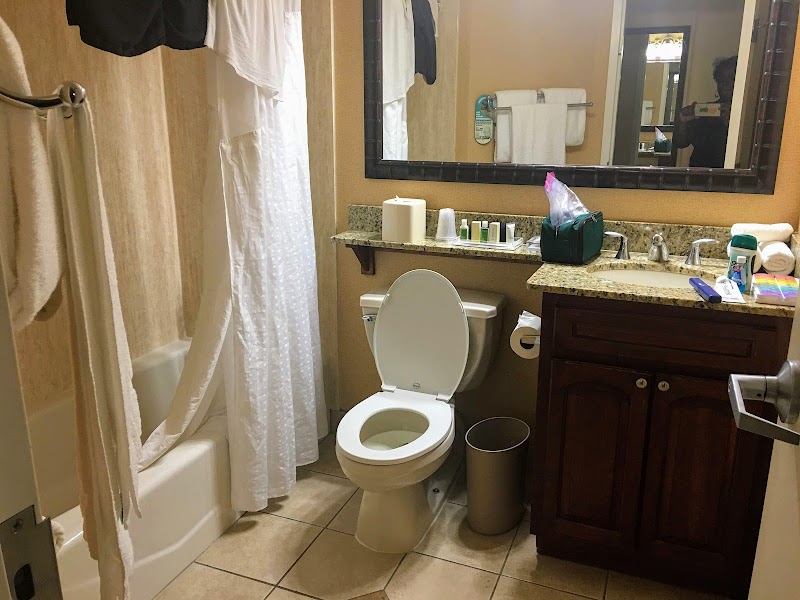 Holiday Inn & Suites Clearwater Beach by IHG photo 4
