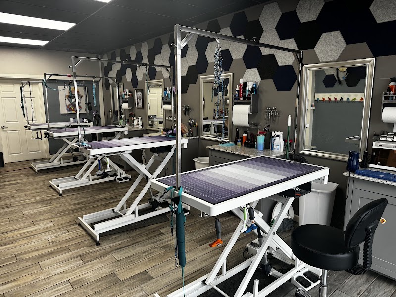 Canine & Company: A Pet Spa photo 2