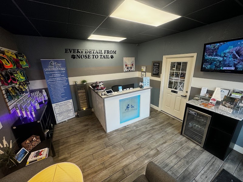 Photo of Canine & Company: A Pet Spa