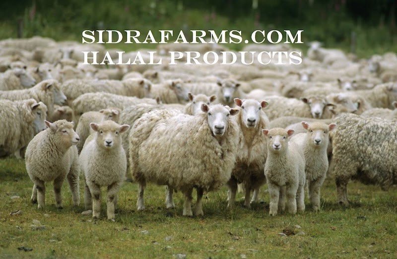 Photo of SIDRA FARMS