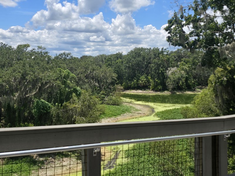 Sunny Observation Deck photo 5