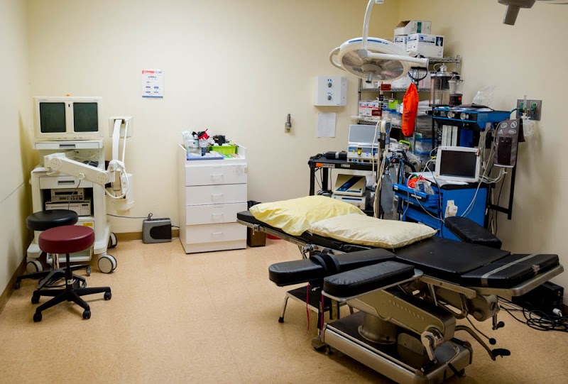 East Bay Hand Medical Center photo 3