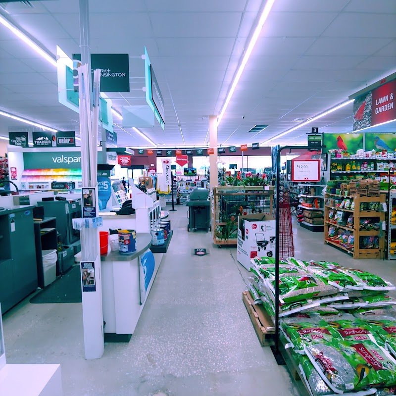 Vision Ace Hardware. photo 2