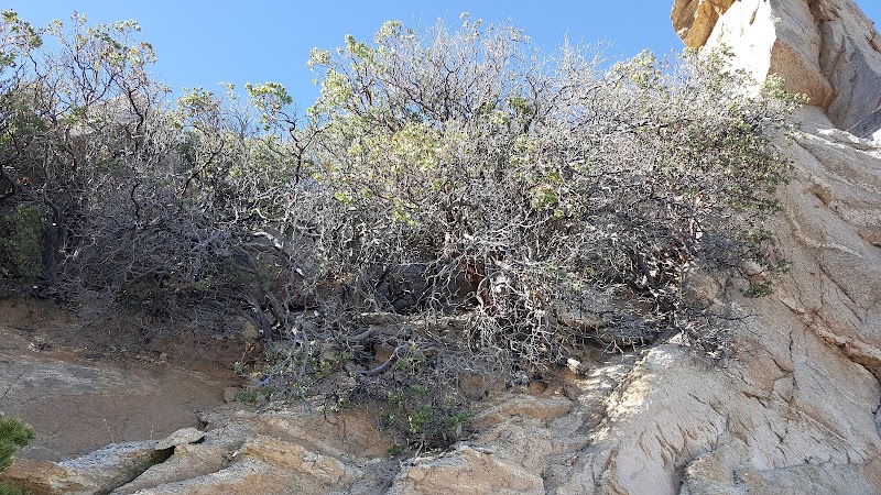 Hoodoo Vista photo 5