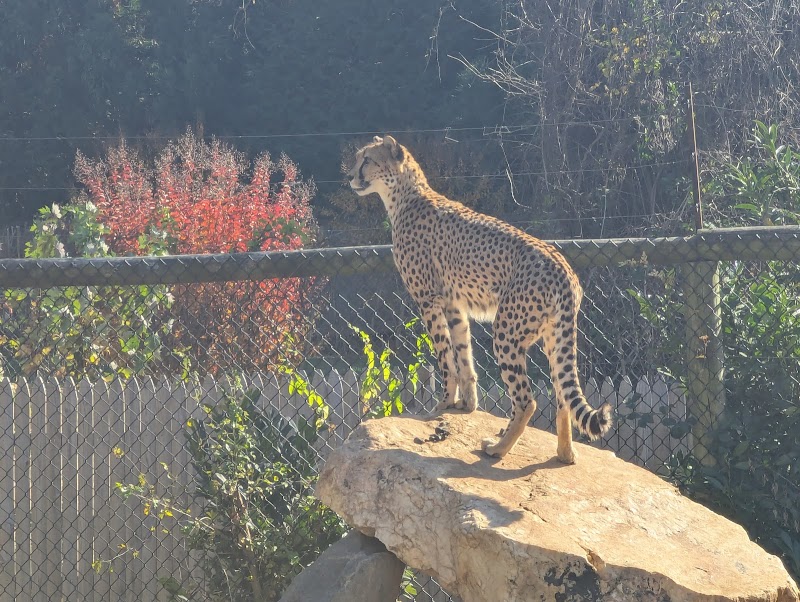 NOVA Wild photo 4