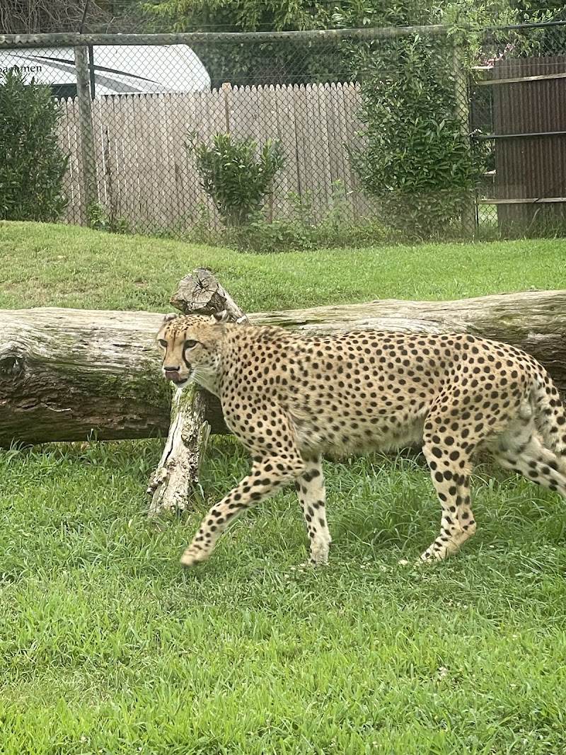 NOVA Wild photo 3