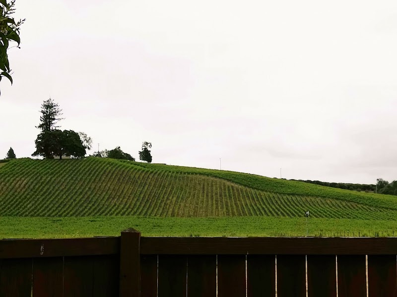 Dutton Ranch Corporation photo 4