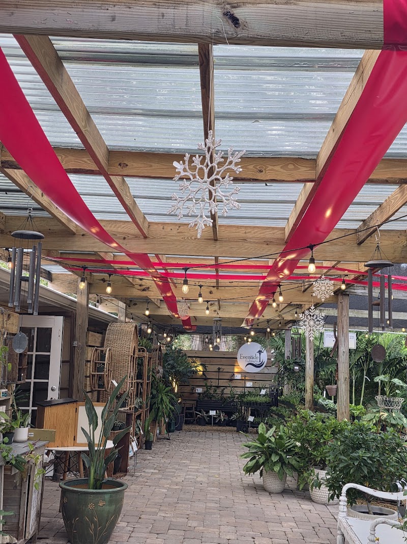 Photo of DIGG Gardens Plant Shop