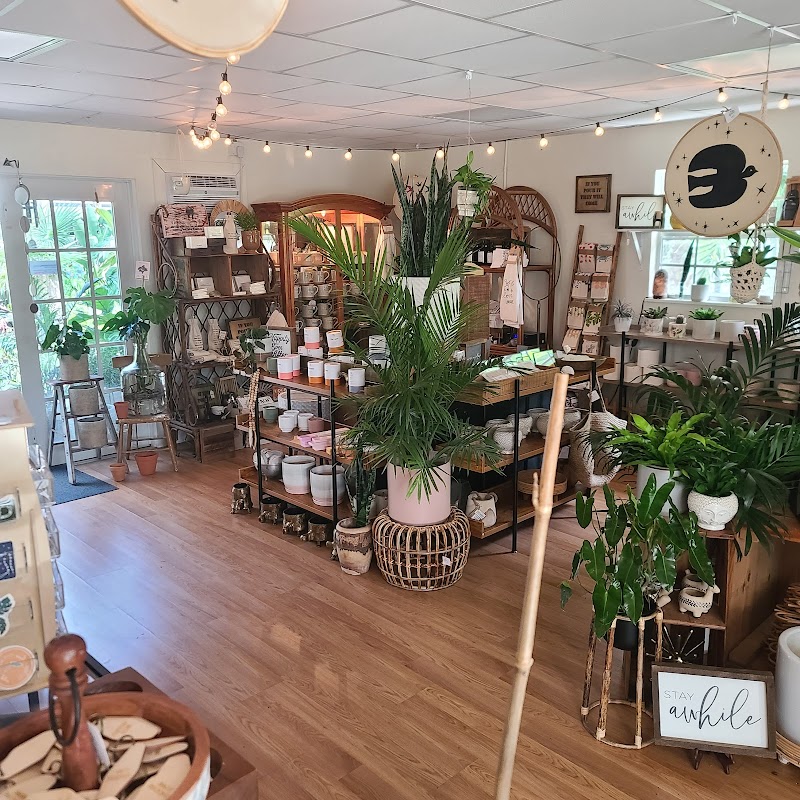 DIGG Gardens Plant Shop photo 3