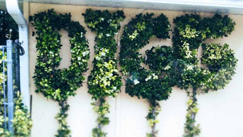 DIGG Gardens Plant Shop photo 2