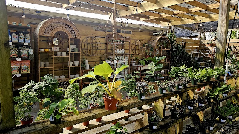 DIGG Gardens Plant Shop photo 4