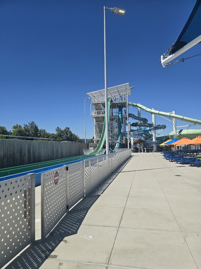 The Dublin Wave - Sports Pool photo 3