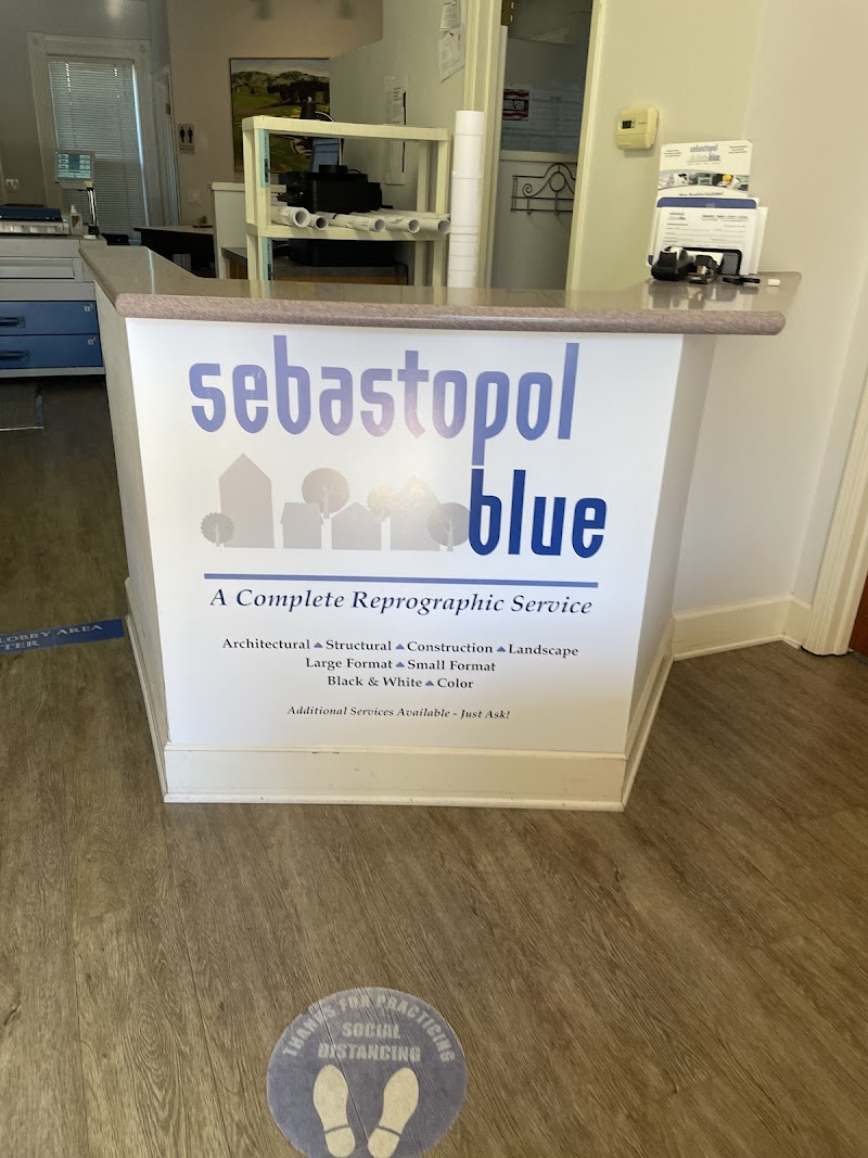 Photo of Sebastopol Blue