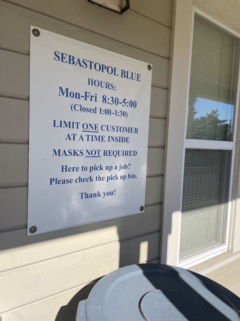 Sebastopol Blue photo 3