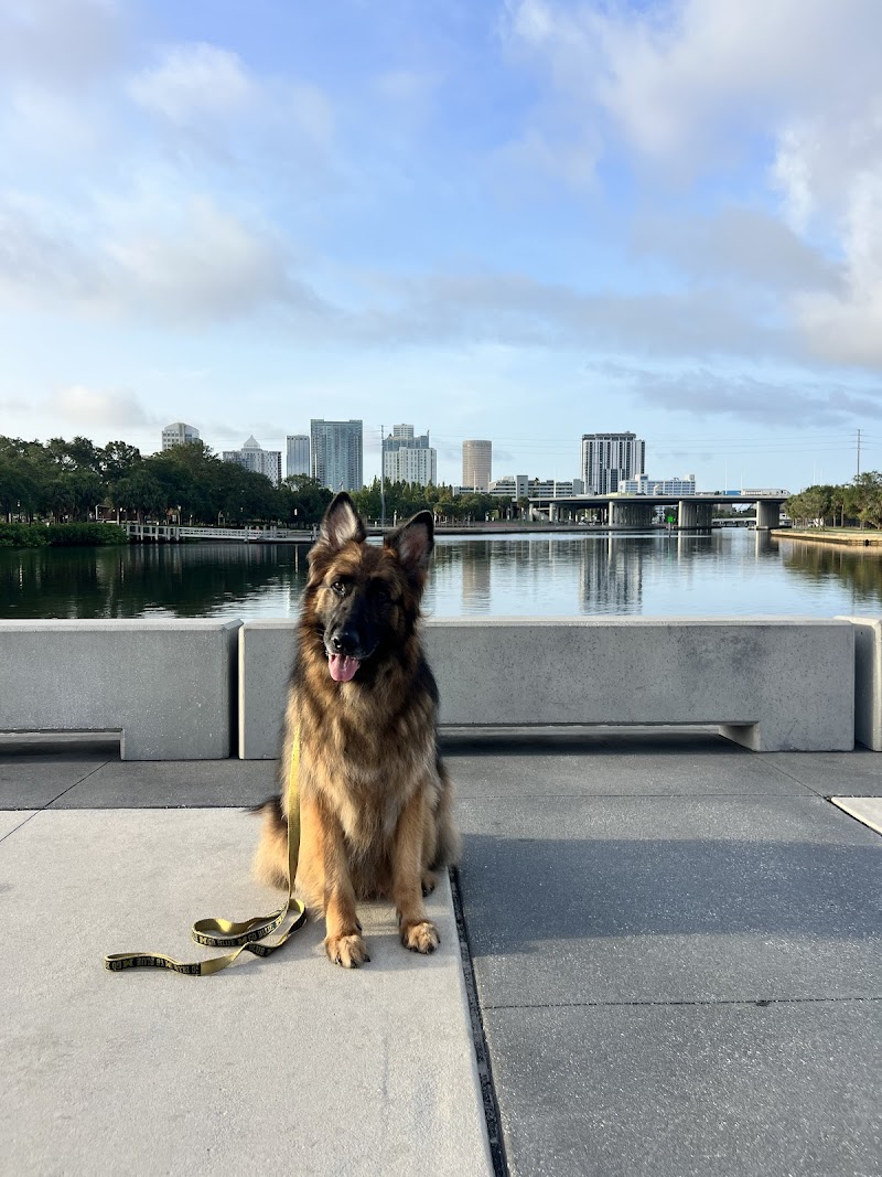 GIFMAF Dog Psychology Center photo 2