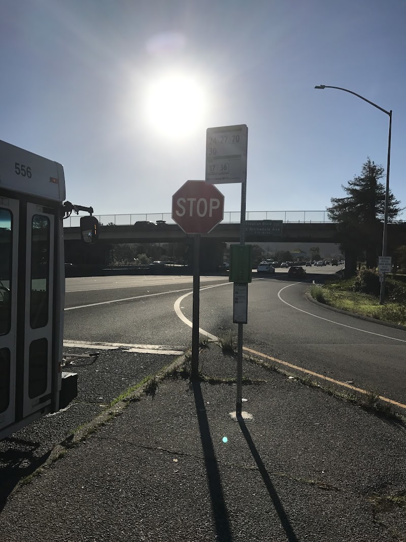 Photo of Paradise Dr Bus Pad