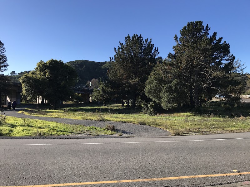 Paradise Dr Bus Pad photo 5
