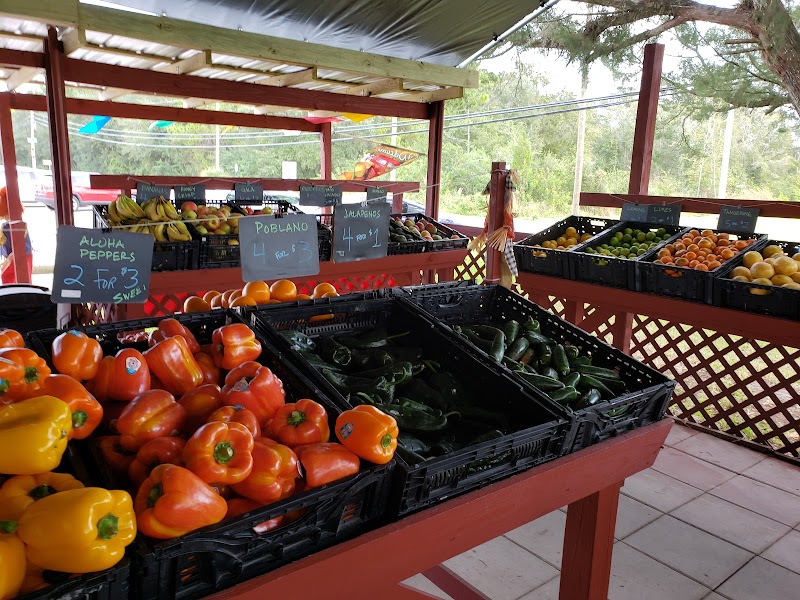 Boyette Family Farms photo 2