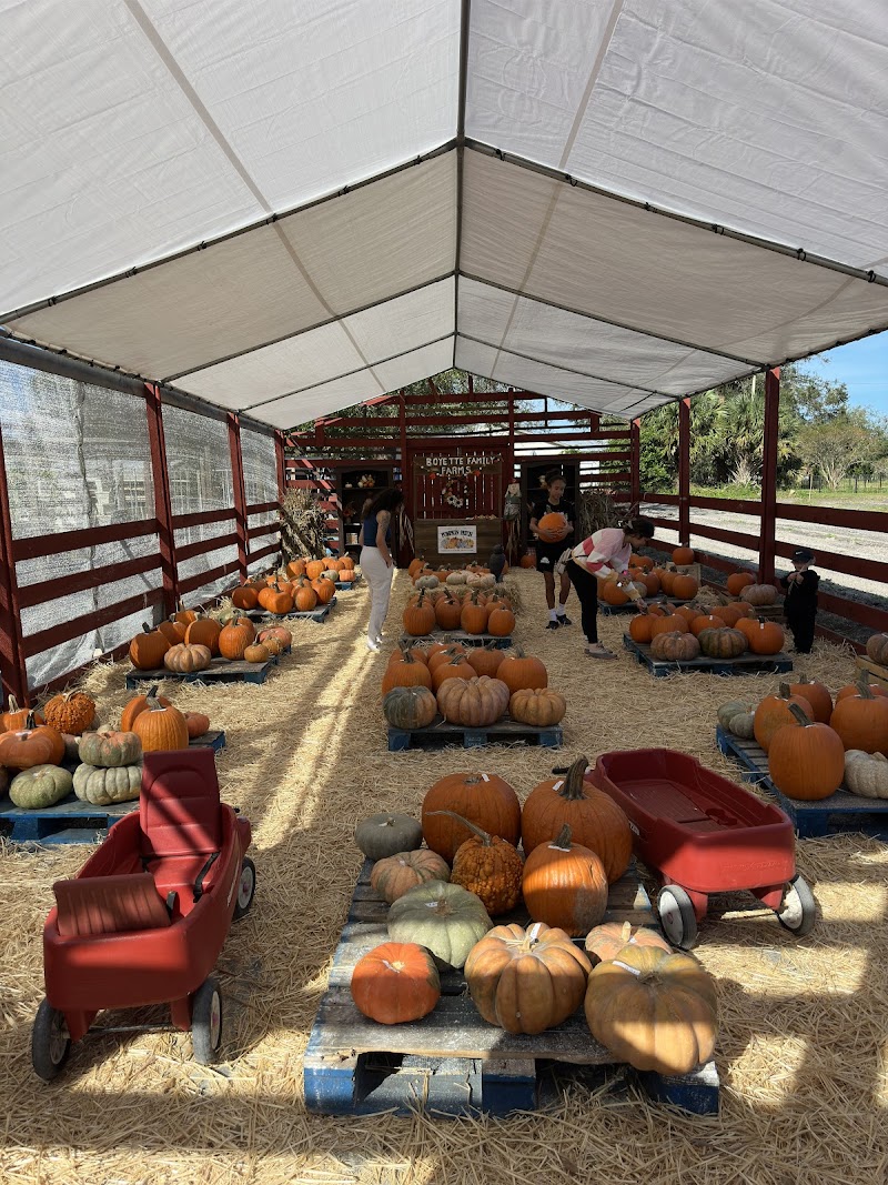 Boyette Family Farms photo 3