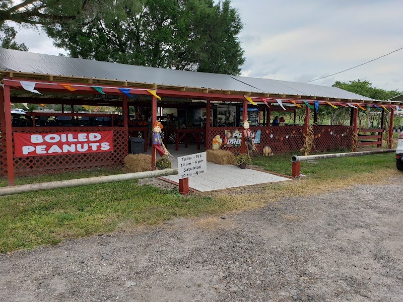 Photo of Boyette Family Farms