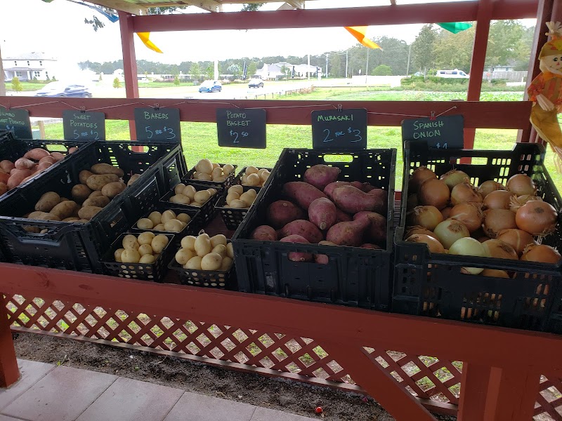 Boyette Family Farms photo 4