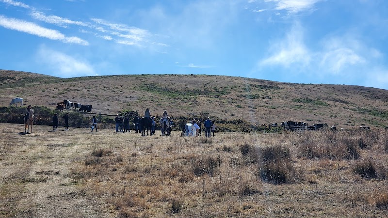 Markegard Family Grass-Fed photo 2