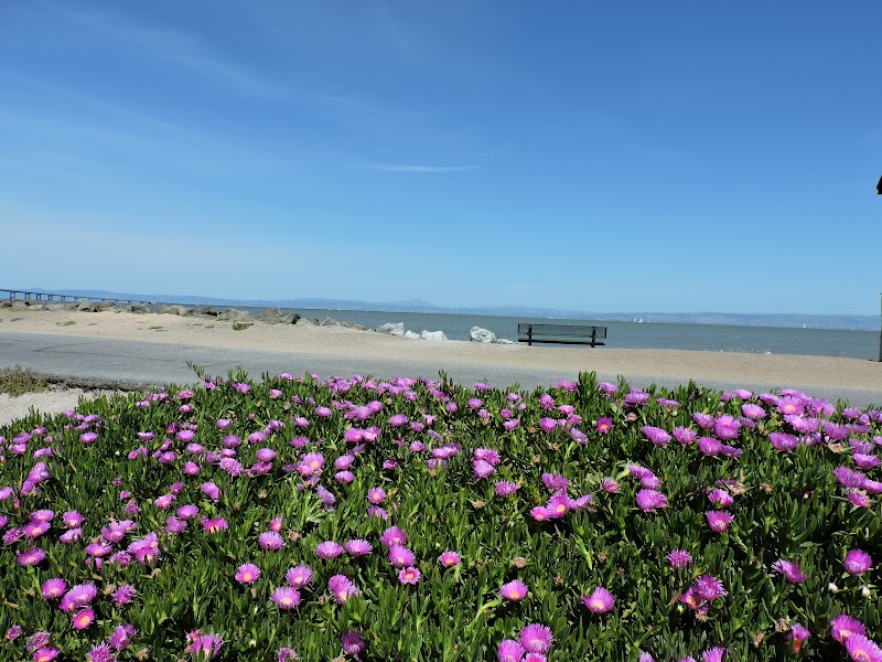 Killdeer Park photo 5