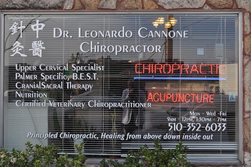 Leonardo Cannone DC photo 3