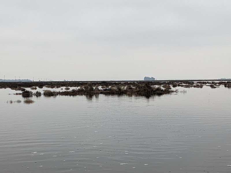Photo of Grizzly Island Pond 11 Blind 9