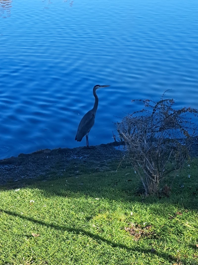 Photo of Cypress Grove Pond