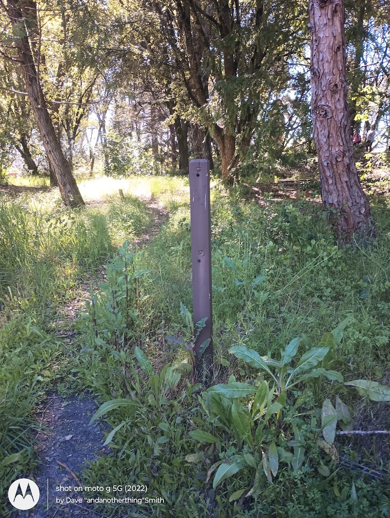 Photo of California Native Plant Garden
