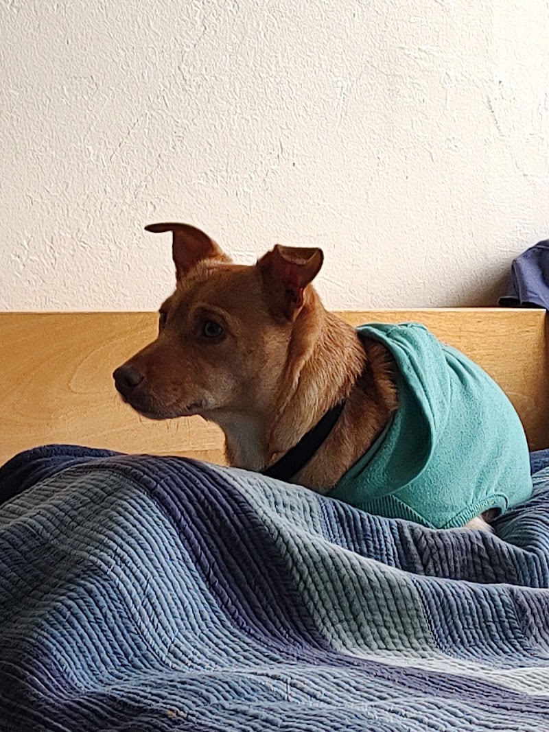 We Care Animal Rescue photo 5