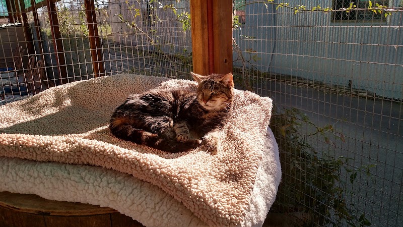 We Care Animal Rescue photo 2