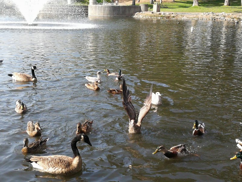 Refugio Valley Park photo 5