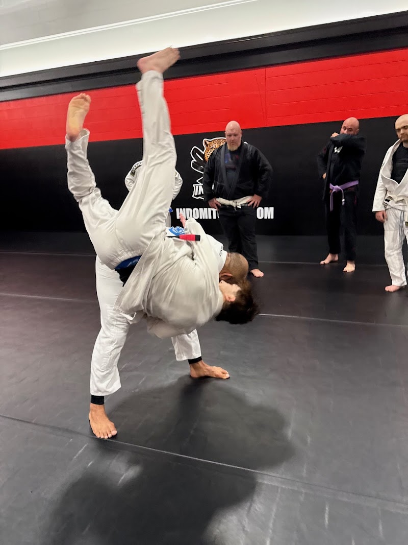 Indomitus Brazilian Jiu Jitsu photo 2