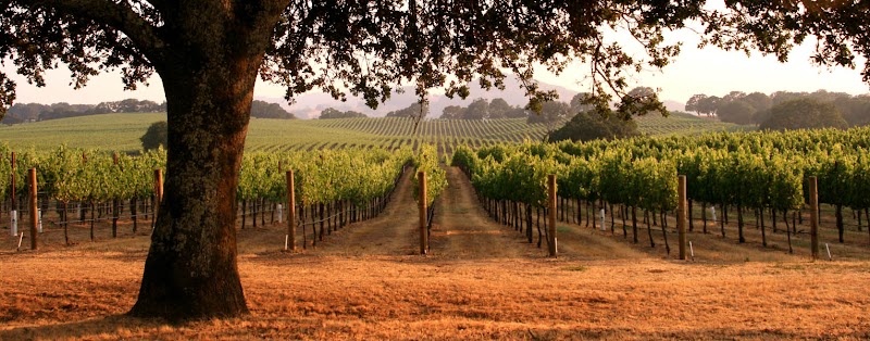 Photo of Hawley Tasting Room & Gallery