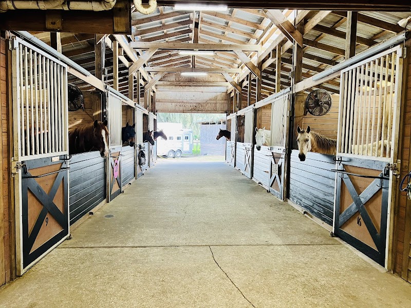 M Performance Horses Boarding & Training Facility photo 5