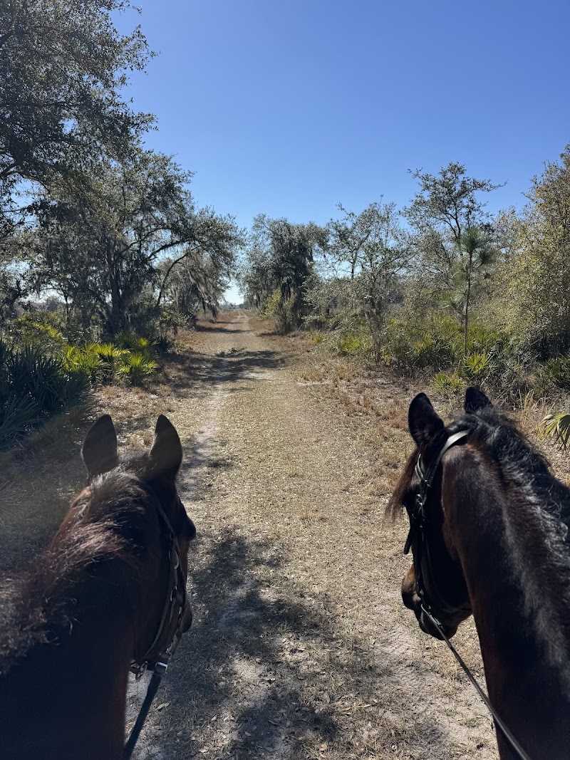 M Performance Horses Boarding & Training Facility photo 2