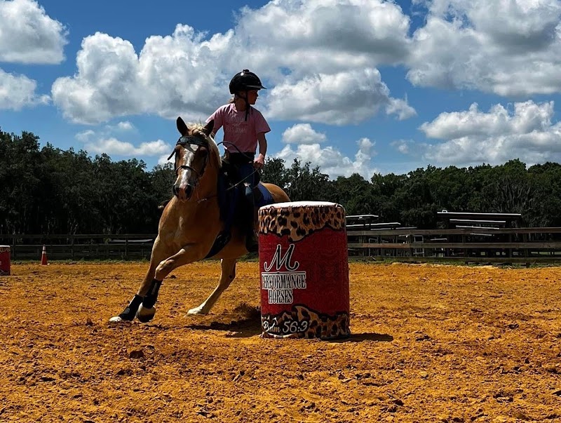 M Performance Horses Boarding & Training Facility photo 3