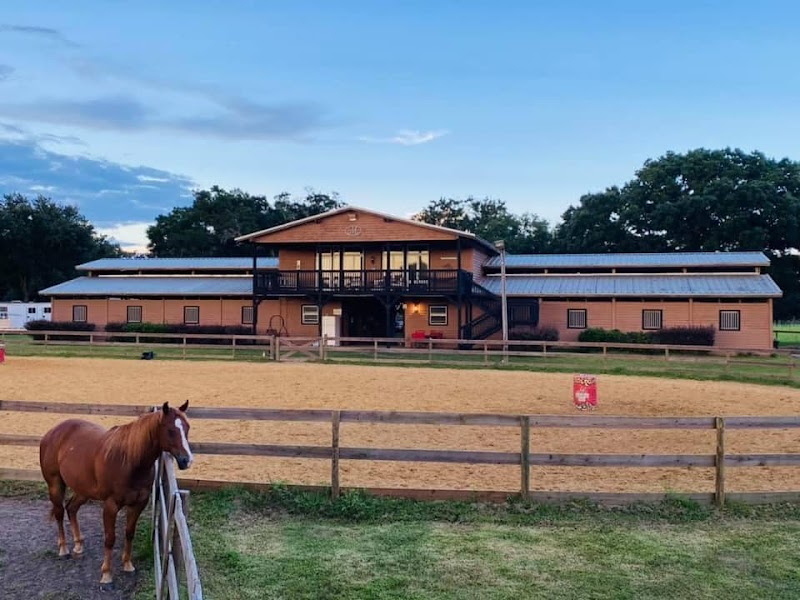 Photo of M Performance Horses Boarding & Training Facility