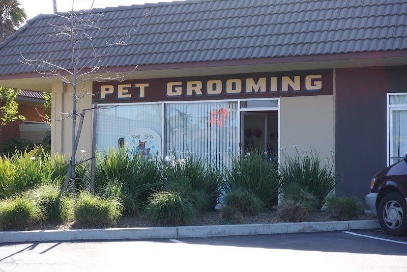 Photo of Paw Spa Pet Grooming