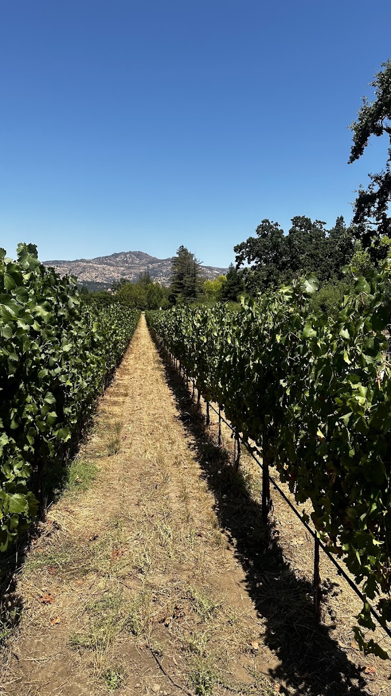 Chandon Carneros Vineyard Office photo 4