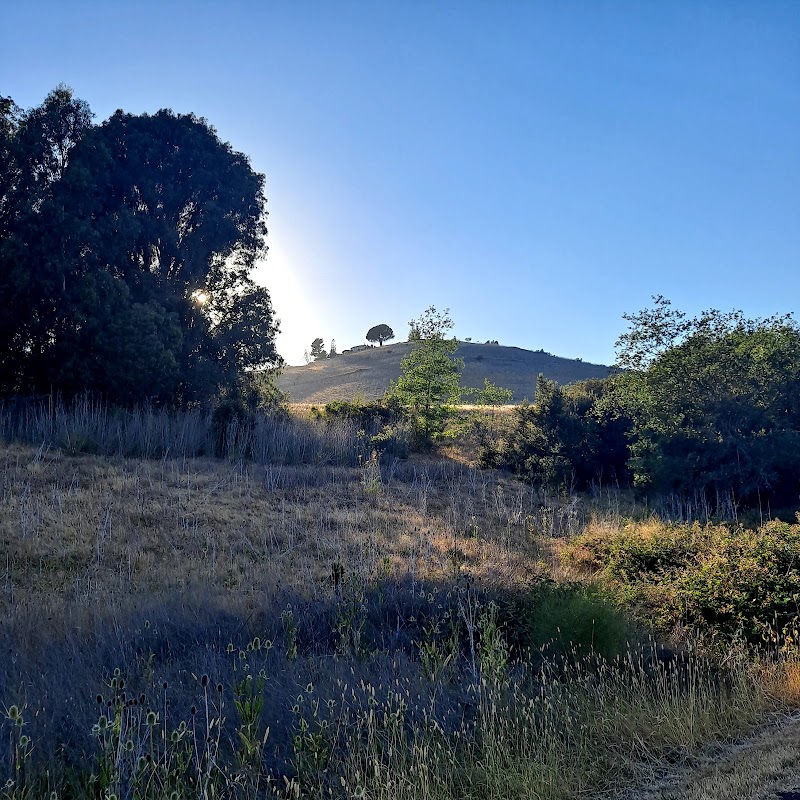 Benicia State Recreation Area Camping photo 3